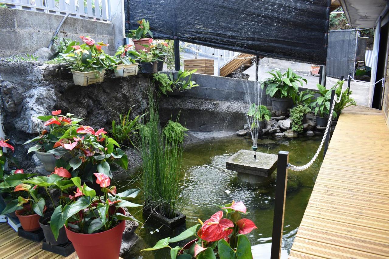 Le Bois de Nefles Horizon 180°住宿加早餐旅馆 外观 照片